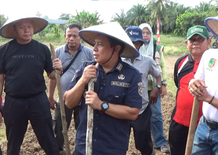 Program Satu Desa Satu Hektare (Sadesahe), Walikota Tanam Jagung di Kelurahan Dusun Besar dan Panorama