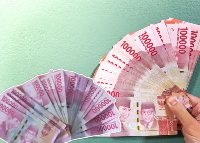 Banyak yang Tanya, Berapa Gaji PPNPN Bea Cukai Lampung?