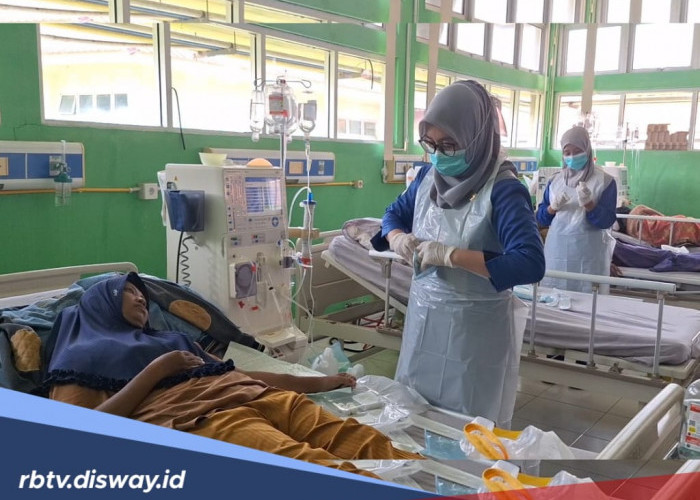 Waspada DBD, 14 Warga Mukomuko Positif Demam Berdarah, Terbanyak di Kecamatan Ini
