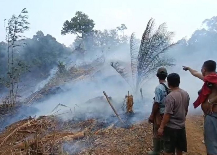 Sejak Fenomena El Nino, Peristiwa Karhutla di Bengkulu Tengah Hanguskan 18,5 Hektar Lahan