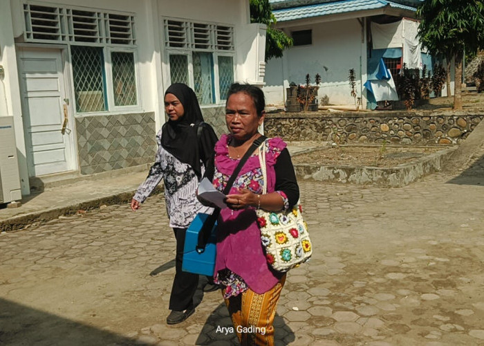 Kasus Gigitan Hewan Penular Rabies di Seluma Meningkat, Sudah 249 Kasus