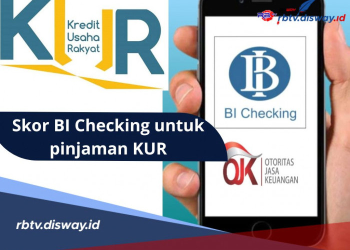 Penting! Segini Skor BI Cheking untuk Pinjaman KUR, Simak Penjelasannya