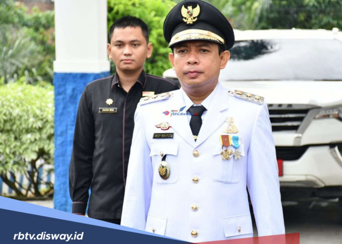 Harta Kekayaan Dedy Wahyudi, Calon Walikota Pilkada Bengkulu 2024