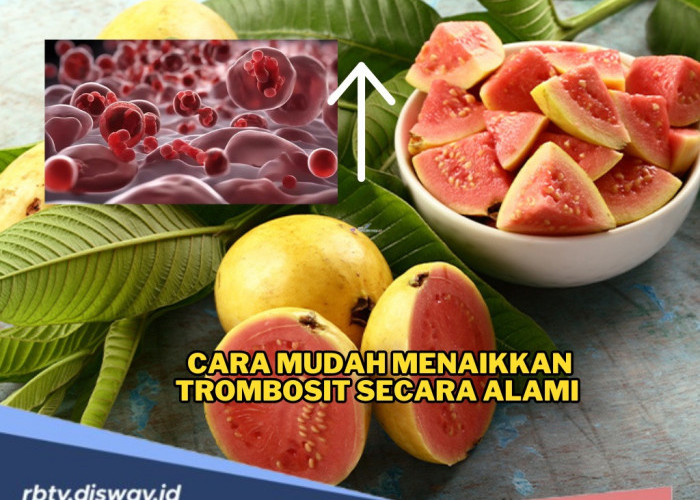 Cara Mudah Menaikkan Trombosit Secara Alami dengan 15 Makanan yang Ada di Dapur Sendiri!
