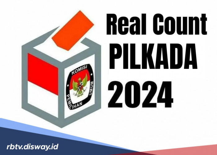 Ini Cara Cek Hasil Real Count Pilkada 2024, Klik di Sini