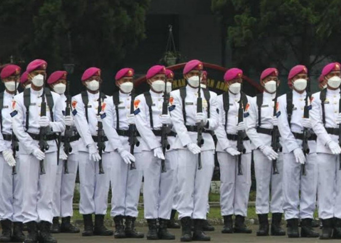 Rekrutmen Bintara PK TNI AL Gelombang I Tahun 2024, Ini Besaran Gaji Pokok dan Tunjangan 