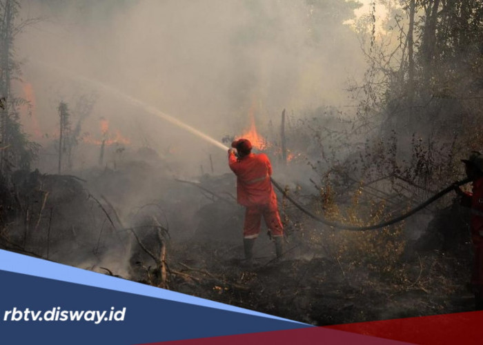 10 Provinsi Ini Paling Rentan Karhutla, Daerahmu Termasuk?