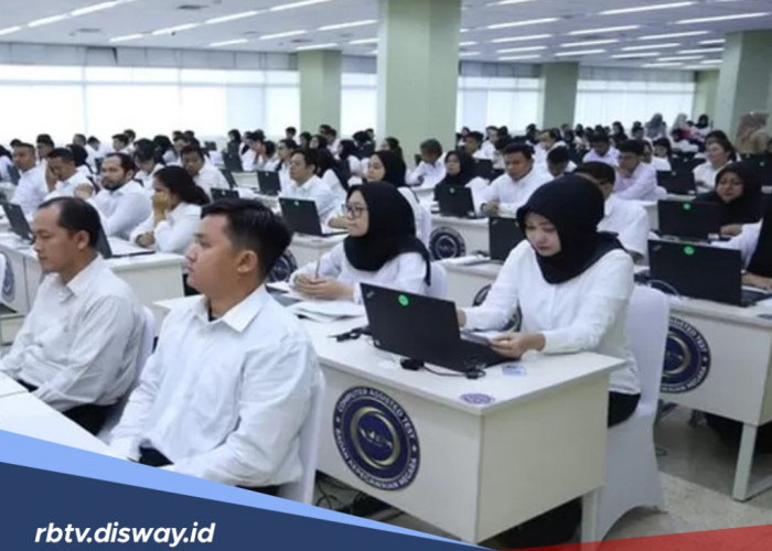 Materi Seleksi Kompetensi PPPK Tahap II, Pelajari dari Sekarang
