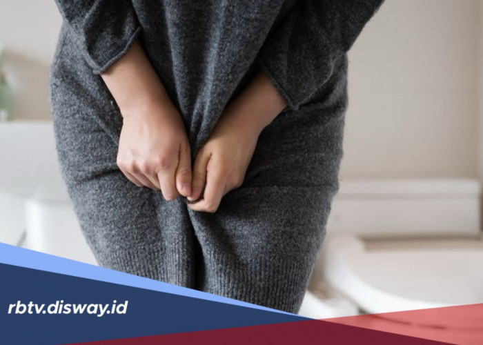 Cara Alami Menghilangkan Kutu Kelamin yang Bisa Dicoba di Rumah