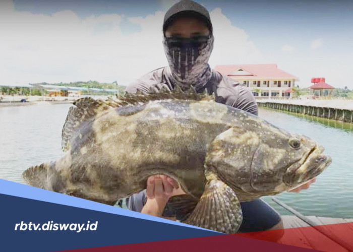 4 Rekomendasi Spot Mancing di Batam yang Wajib Dicoba