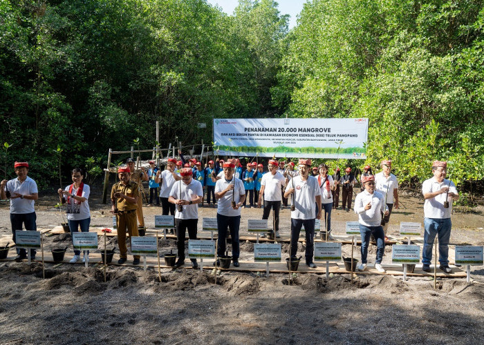 Tanam 20.000 Mangrove di KEE Teluk Pangpang, Cara AHM Peringati Hari Lingkungan Hidup Sedunia