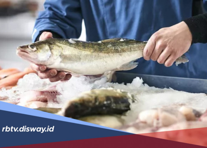 Dear Ayah Bunda, Ini 5 Rekomendasi Ikan yang Bagus untuk Kecerdasan Otak Anak