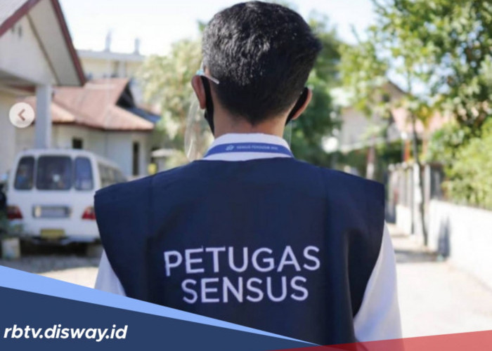 Petugas Sensus Ekonomi Harus Punya Ketelitian Tinggi, Benarkah?