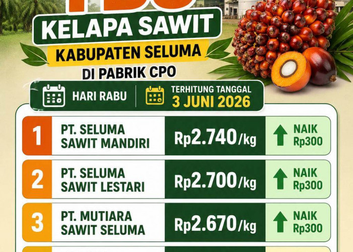 Pemprov Bengkulu Terbitkan Harga Penetapan Baru TBS Kelapa Sawit