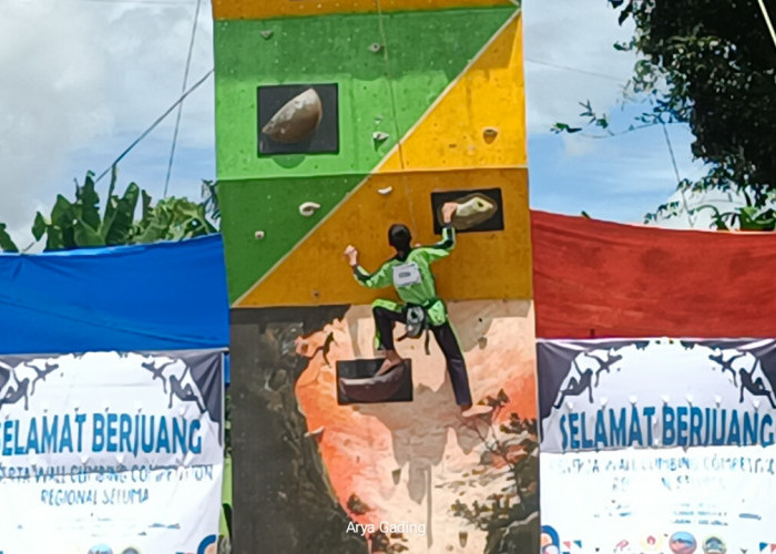 132 Pelajar Adu Cepat Wall Climbing Regional Seluma Tahun 2024