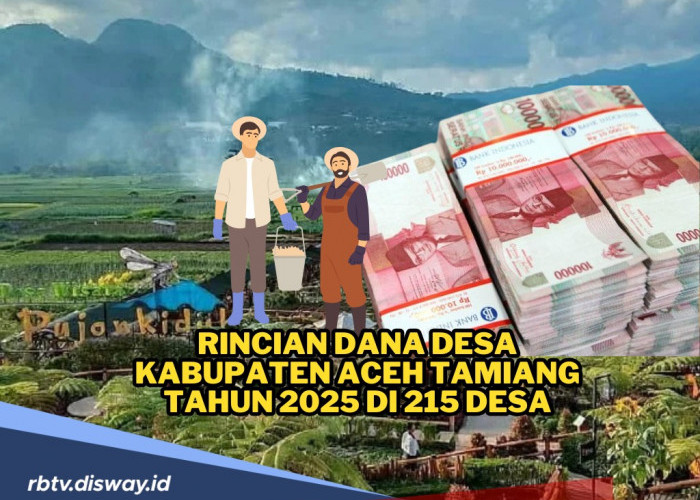 Rincian Dana Desa Kabupaten Aceh Tamiang Tahun 2025 untuk 215 Desa, Mana Desa dengan Alokasi Dana Terbanyak?