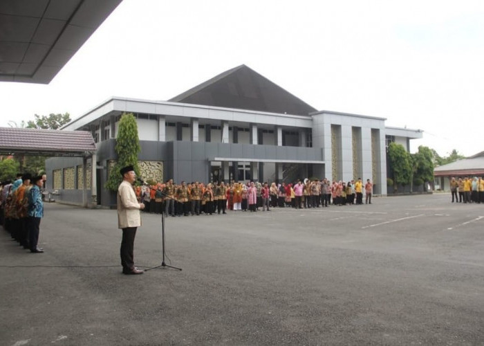 9 ASN di Bengkulu Mengajukan Pensiun Dini, Salah Satu Alasannya Mau Caleg