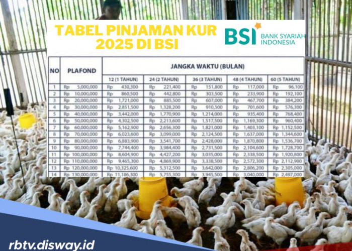 Tabel Pinjaman KUR 2025 di BSI dengan Pinjaman Rp 300 Juta, Berikut Angsuran, Cara dan Syaratnya