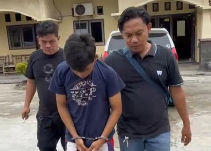 Pria Dubes Diamankan Polisi Usai Curi 2 Ekor Ayam Bangkok Philipina