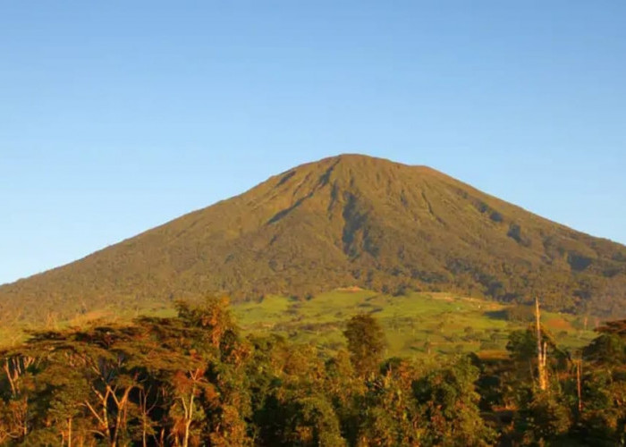 Rayakan Tahun Baru 2025 di Gunung Dempo, Pemuda Sukaraja Seluma Dilaporkan Tewas