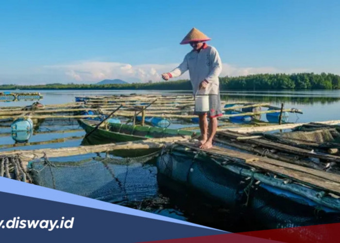 Cek Simulasi Tabel Cicilan KUR BRI 2026 Pinjaman Rp 65 Juta