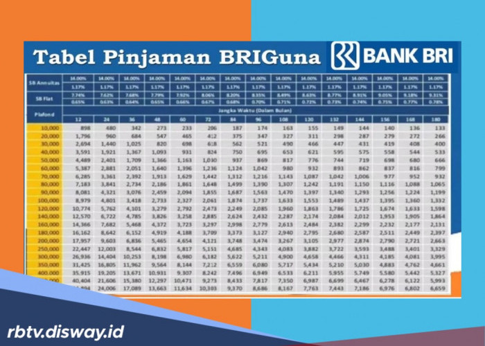 Karyawan Wajib Tahu, Ternyata Begini Cara Aman Dapatkan DANA Segar Tanpa Jaminan Lewat BRIguna 