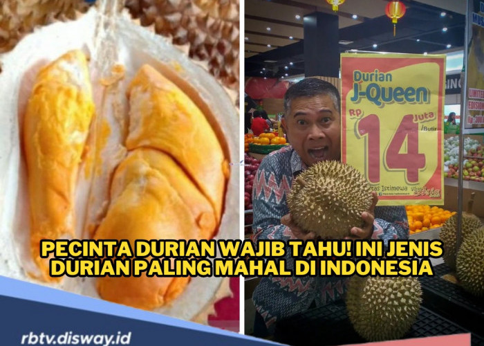 Pecinta Durian Wajib Tahu! Ini Jenis Durian Paling Mahal di Indonesia, Harganya Fantastis 