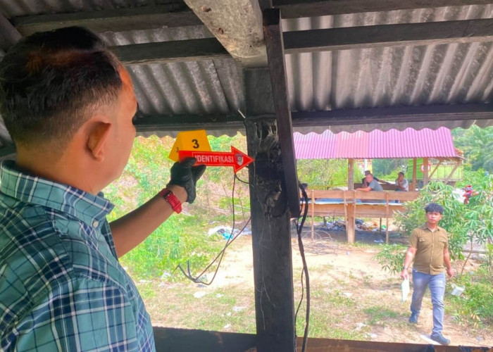 Ini Kata Pemilik Pondok DO Sawit di PT Mutiara Sawit Seluma (MSS) yang Terbakar