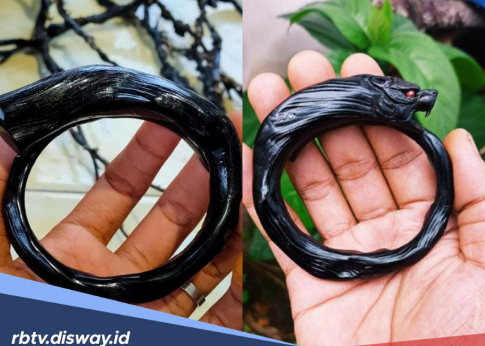 Ragu Asli atau Palsu? Ini Ciri-ciri Gelang Akar Bahar Asli 