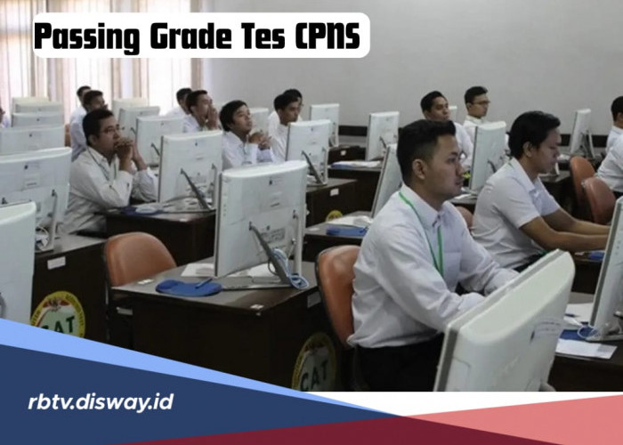 Berapa Passing Grade Tes CPNS 2024? Ini Rinciannya Berdasarkan Kategori Peserta