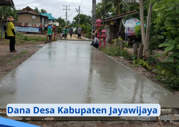 Dana Desa di Kabupaten Jayawijaya 2024, Segini Rincian Pembagian Dana di 328 Desa