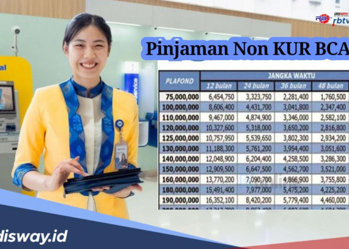 Pinjaman Non KUR BCA 2024, Begini Tabel Simulasi Pinjaman Rp 100 Juta 