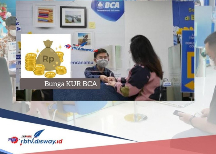 Bunga KUR BCA 2024, Pinjaman Rp 50 Juta Tanpa Pakai NPWP, Angsuran Terjangkau