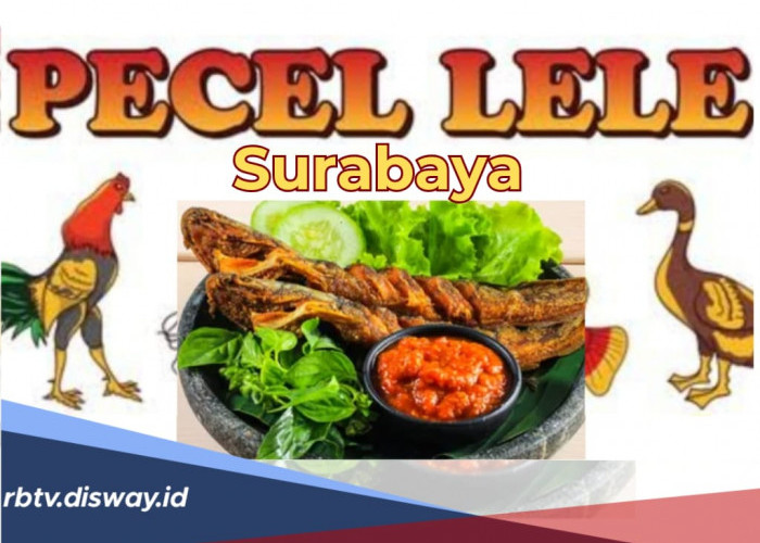 7 Rekomendasi Tempat Pecel Lele Legendaris di Surabaya, Nikmati Sensasi Kuliner Khas Kota Pahlawan