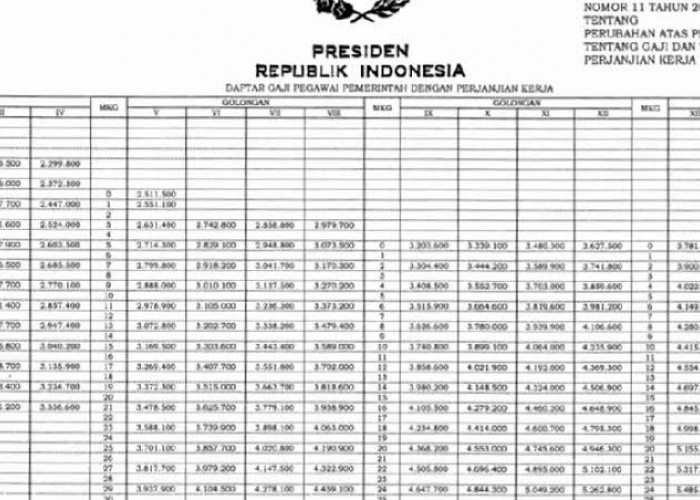 Penentuan Gaji PPPK Berdasarkan Tingkat Pendidikan, Simak Besarannya