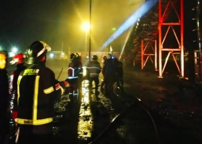 Conveyor di Pelabuhan Pulau Baai Terbakar, GM Pelindo Bengkulu Ambil Langkah Ini