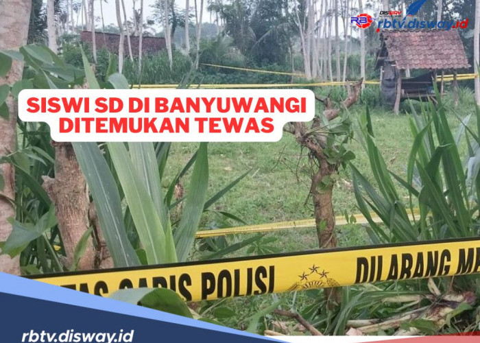 Tragedi Tragis Siswi SD di Banyuwangi, Carla Ditemukan Meninggal dan Diperkosa