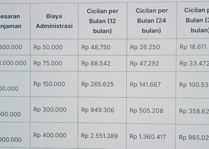 Tabel Pinjaman KUR BTPN Rp 25 Juta, Cicilan Terendah Rp 900 Ribuan, Cek Syarat Ketentuan