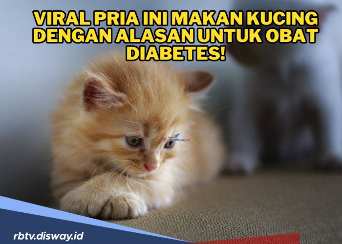 Pemilik Kosan Ini Terciduk Sedang Menyantap Daging Kucing, Alasan Obat Diabetes, Pengakuannya Sudah 10 Kali 