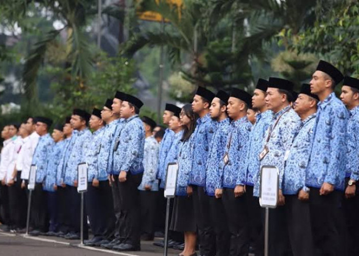 Agar Peluang Lolos CPNS 2024 Lebih Lebar, Pahami Syarat dan Dokumen yang Harus Dipersiapkan