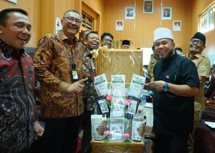 Minta Dukungan Gubernur Helmi, PGEO Target PLTP Hululais Mulai Beroperasi Tahun 2027
