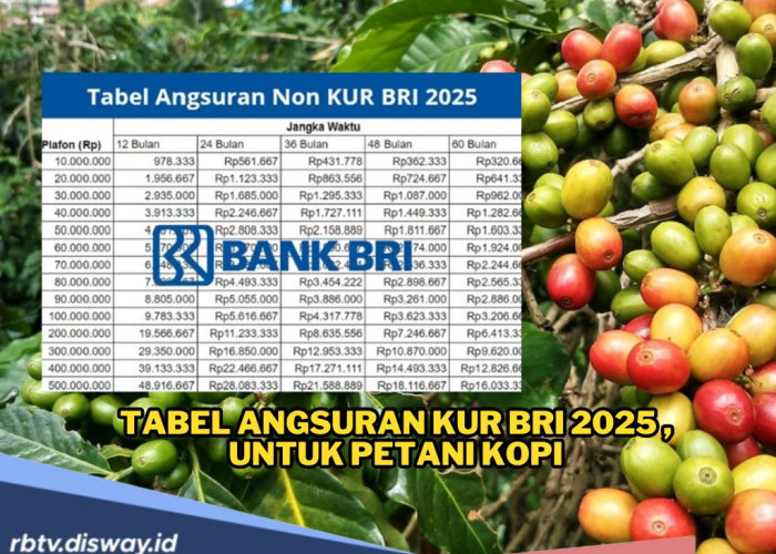  Tabel KUR BRI 2025 dari Rp5 Juta sampai Rp100 Juta untuk Modal Tambahan Petani Kopi
