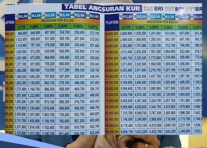 Mau Buka Usaha Butuh Modal Rp 20-25 Juta, Ajukan KUR BRI 2025, Cicilannya hanya Rp 400 Ribu