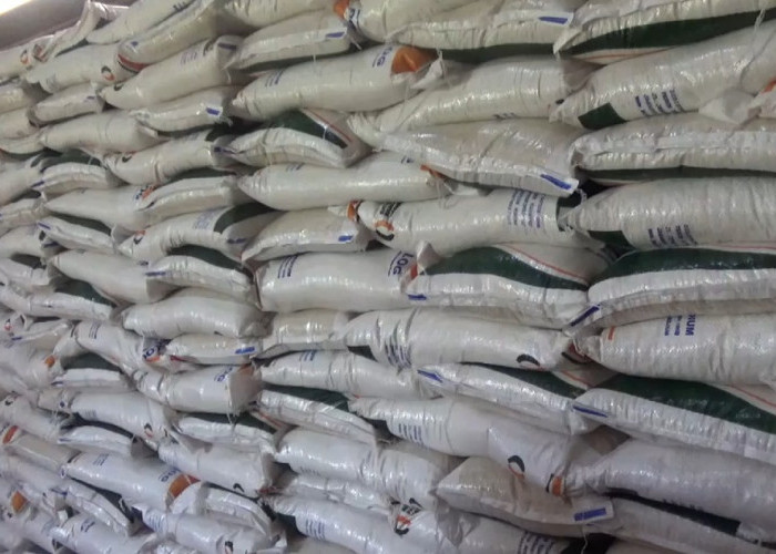 Bantuan Pangan di Bengkulu Utara Digulirkan, 28.873 KPM Terima Manfaat