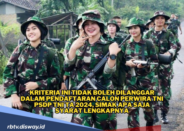 Kriteria Ini Tidak Boleh Dilanggar Dalam Pendaftaran Calon Perwira TNI PSDP TA 2024