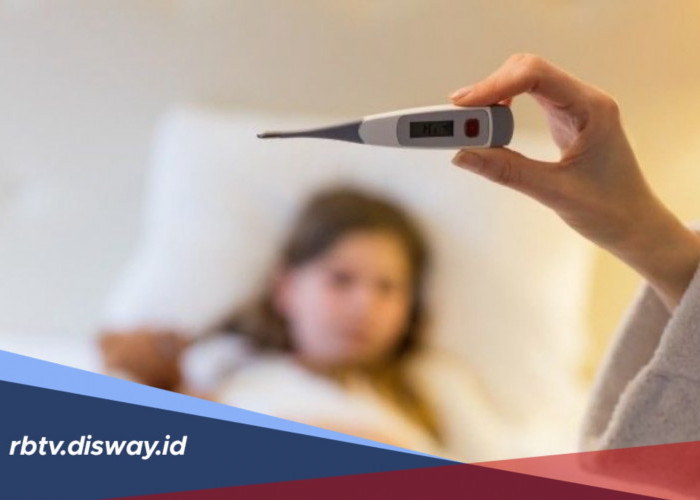 Obat Demam Berdarah yang Bisa Membantu Meredakan Gejala dan Mendukung Pemulihan
