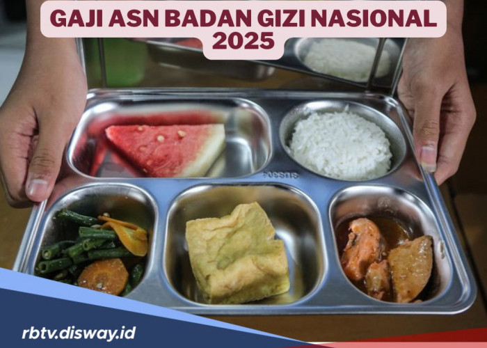 Ternyata Segini Gaji ASN Badan Gizi Nasional, Tertarik Daftar SPPI 2025?