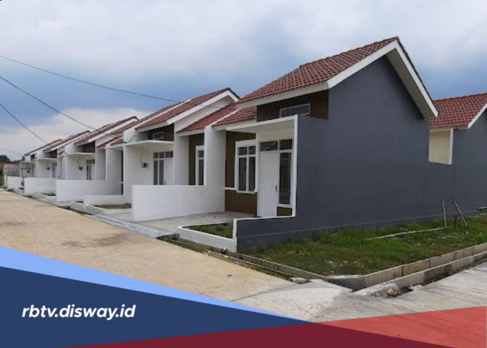 Rumah Type 36 Terasa Sempit? Coba 7 Trik Renovasi Ini agar Ruangan Terlihat Lebih Luas