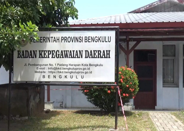 Kualifikasi Pendidikan dalam Seleksi PPPK Tak Tersedia, Ini Saran BKD Provinsi Bengkulu 