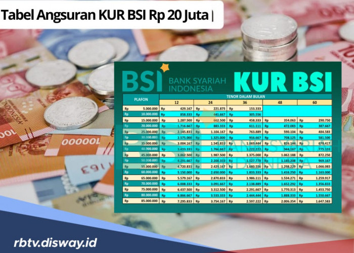 3 Tipe Angsuran Pinjaman KUR BSI 2025, Lengkap Cara Pengajuan dan Tabel Angsuran Rp 20 Juta 